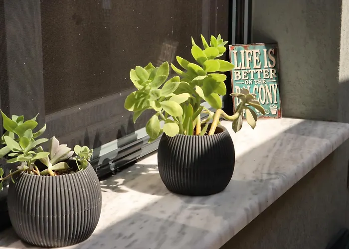 Waterview * 克里斯阿穆迪亚