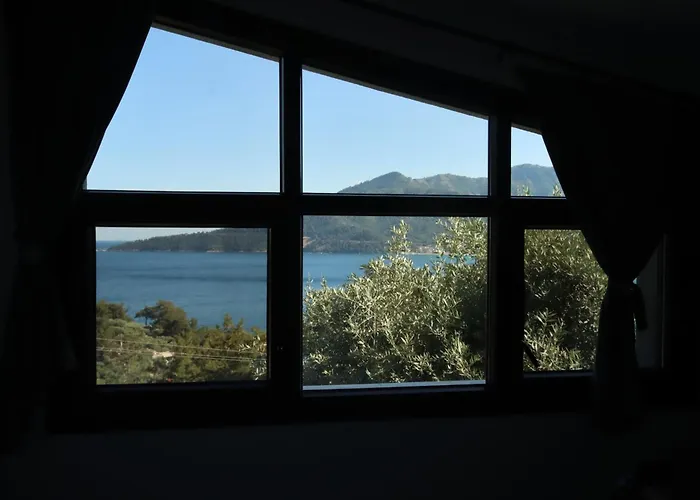 Waterview * 克里斯阿穆迪亚